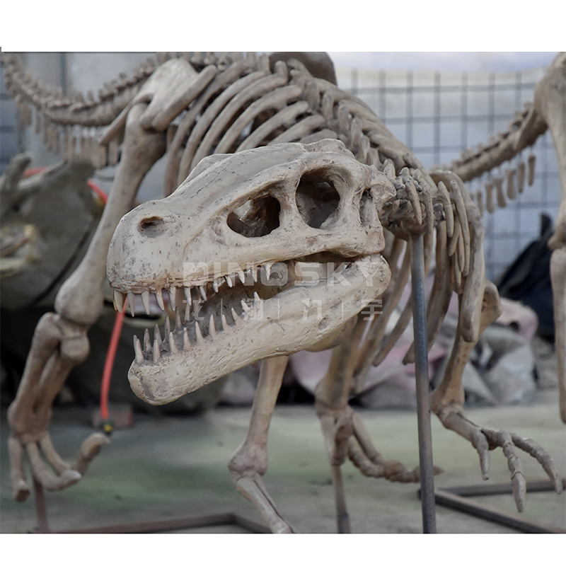 Fosil Kerangka Dinosaurus Resi - Science Exhibition Models ulasan dan harga